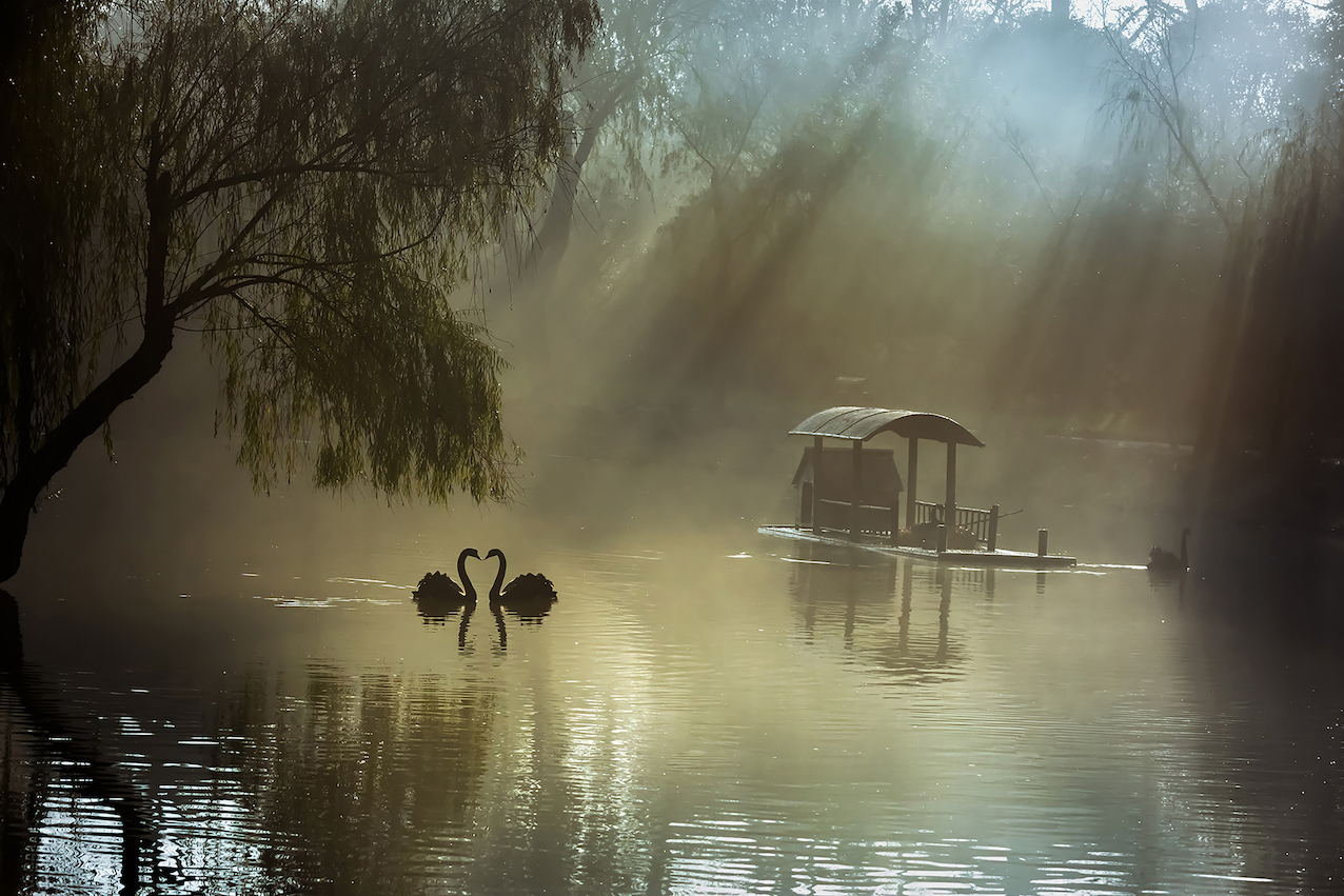 �����⡷ .jpg