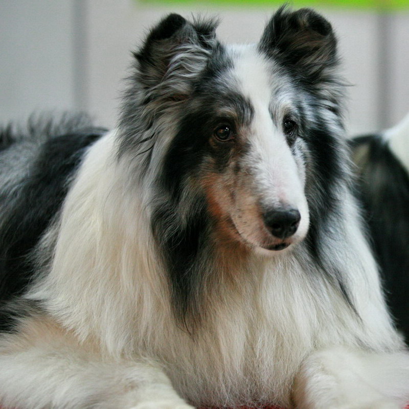 ���� IMG_9287.jpg