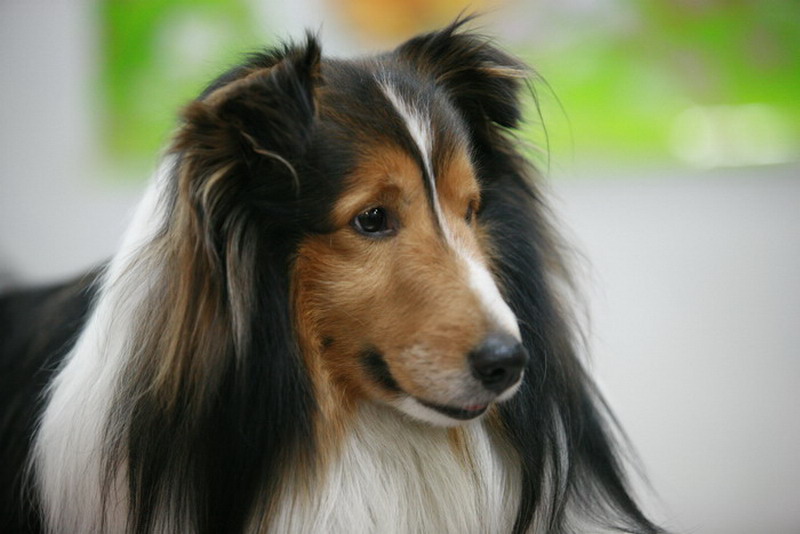 ���� IMG_9289.jpg