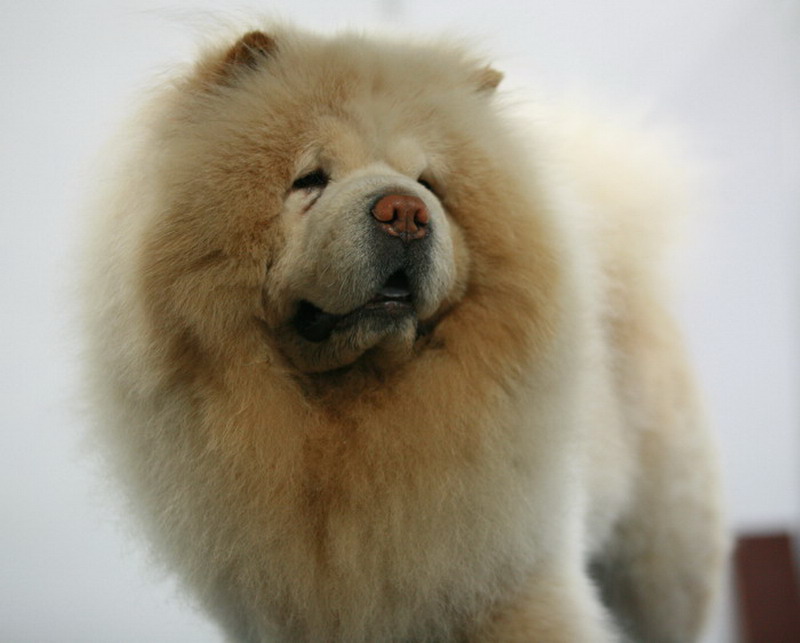 ���� IMG_9328.jpg