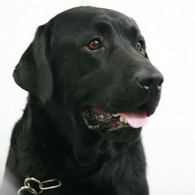 ���� IMG_9330.jpg