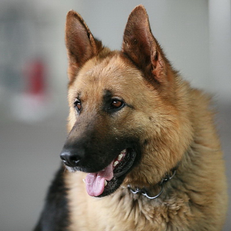 ���� IMG_9366.jpg