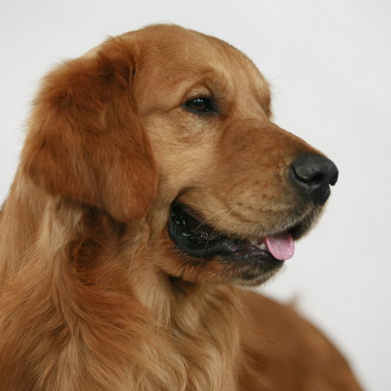 ���� IMG_9405.jpg