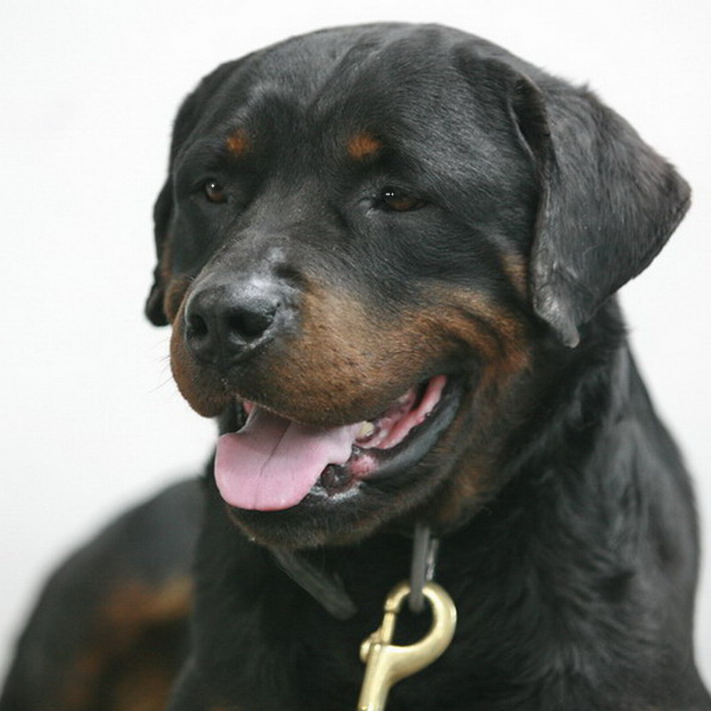 ���� IMG_9407.jpg