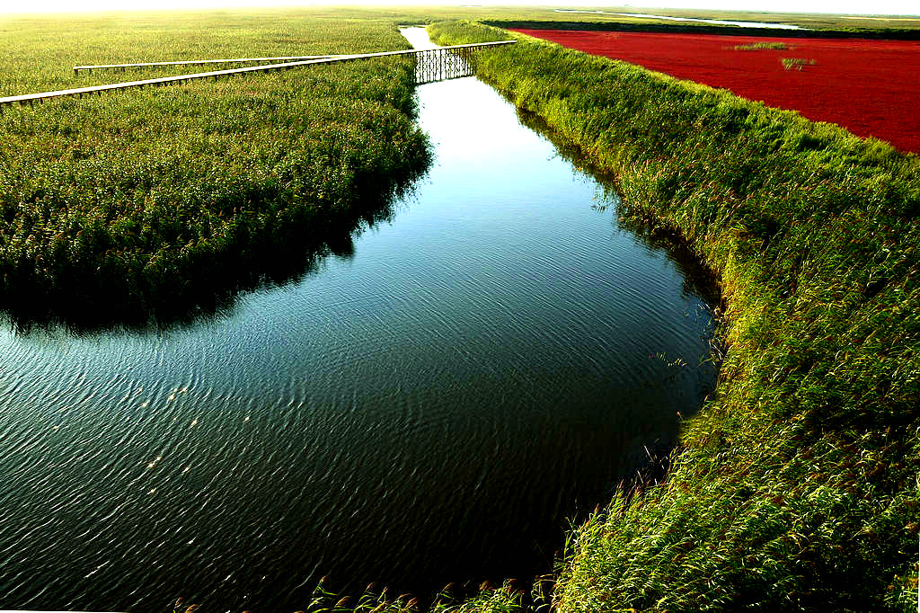 DSC_5495   1111_����.jpg