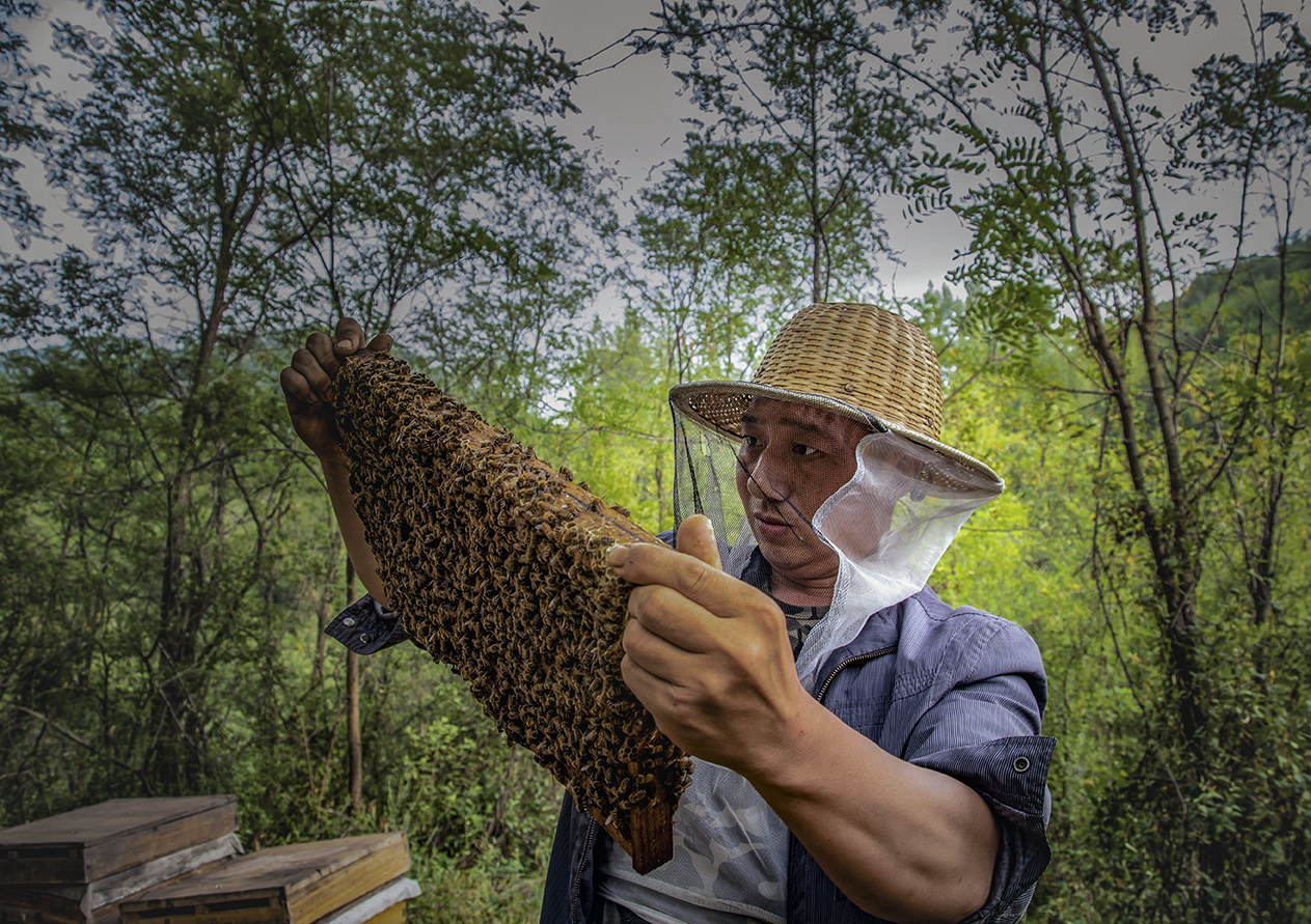 ��---��.....