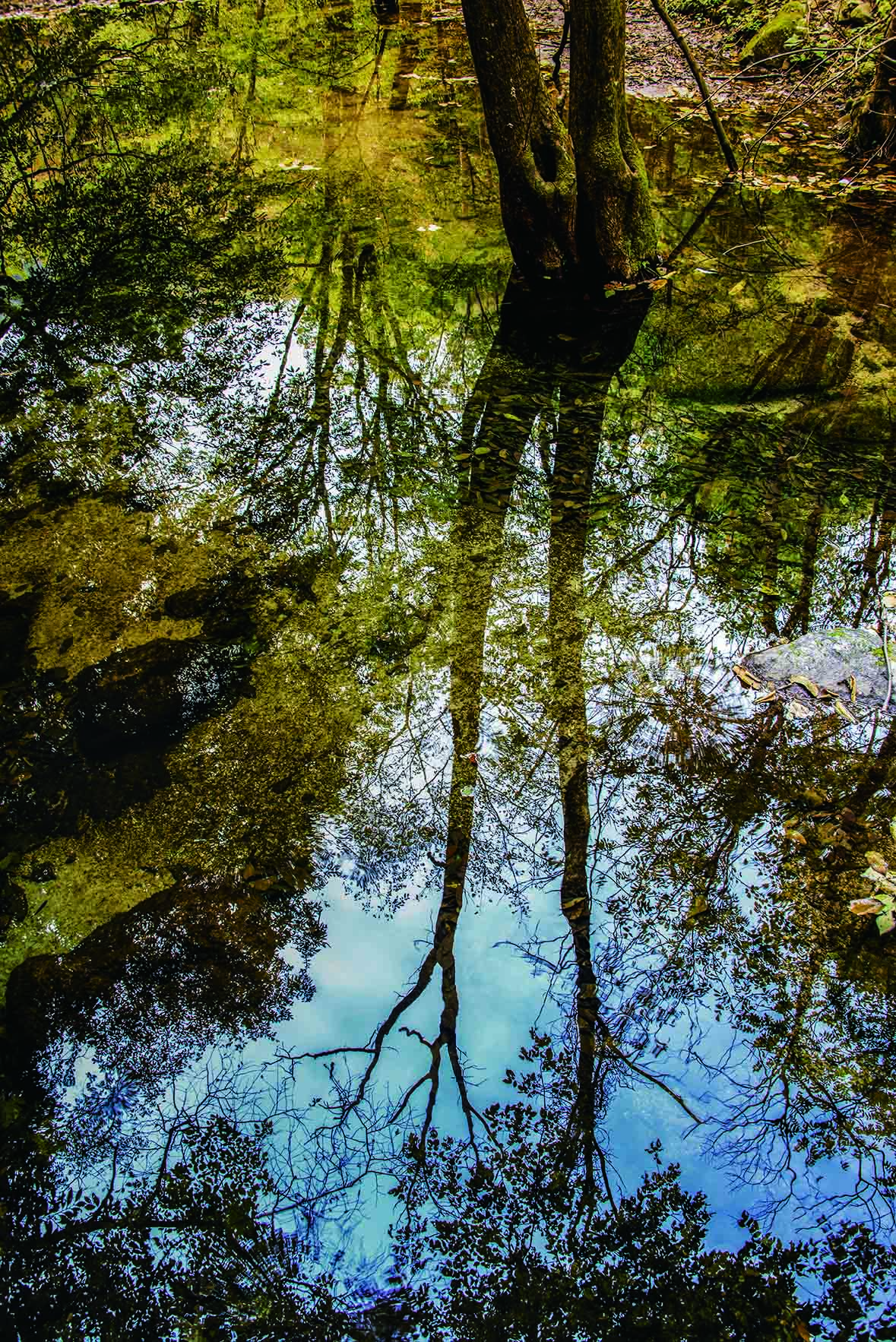 ���.................