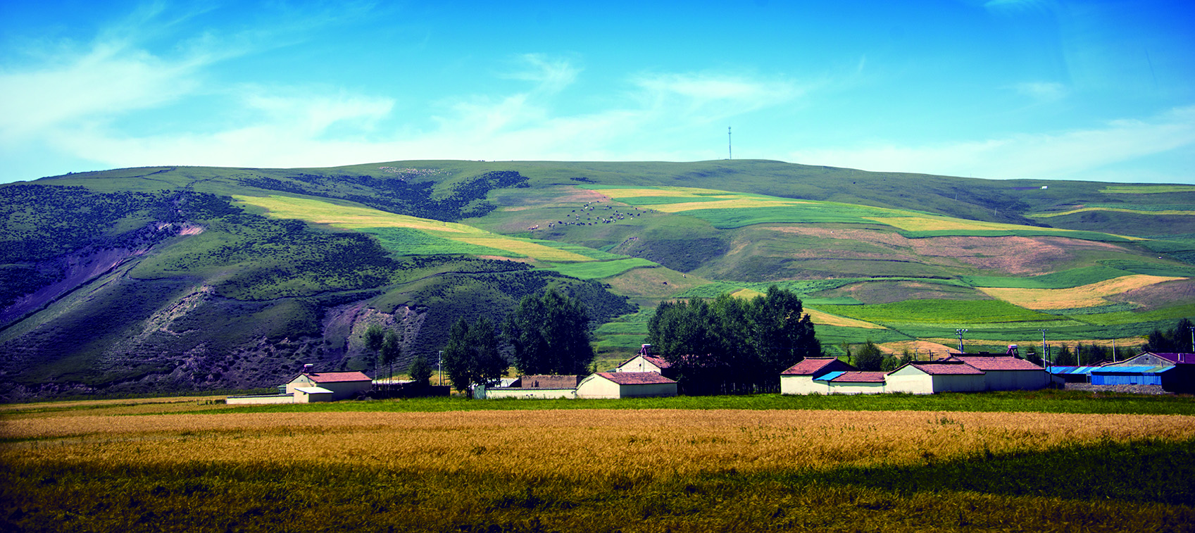 ��Դ������.......