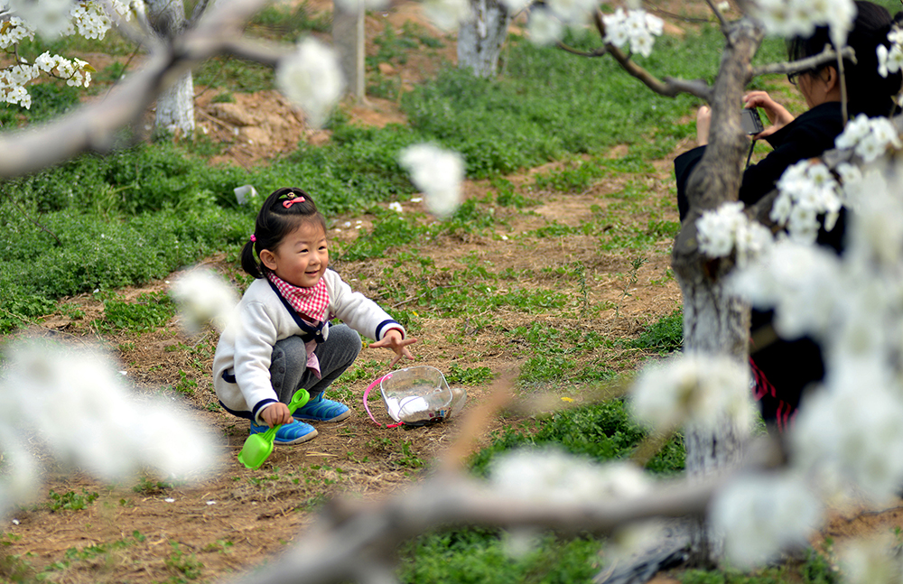 ���������1 (1).JPG