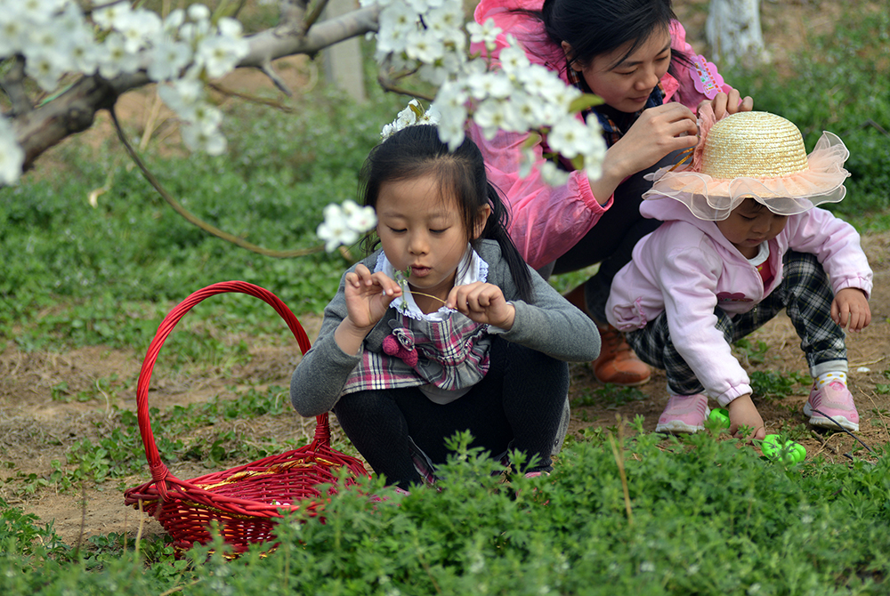 ���������2 (2).JPG