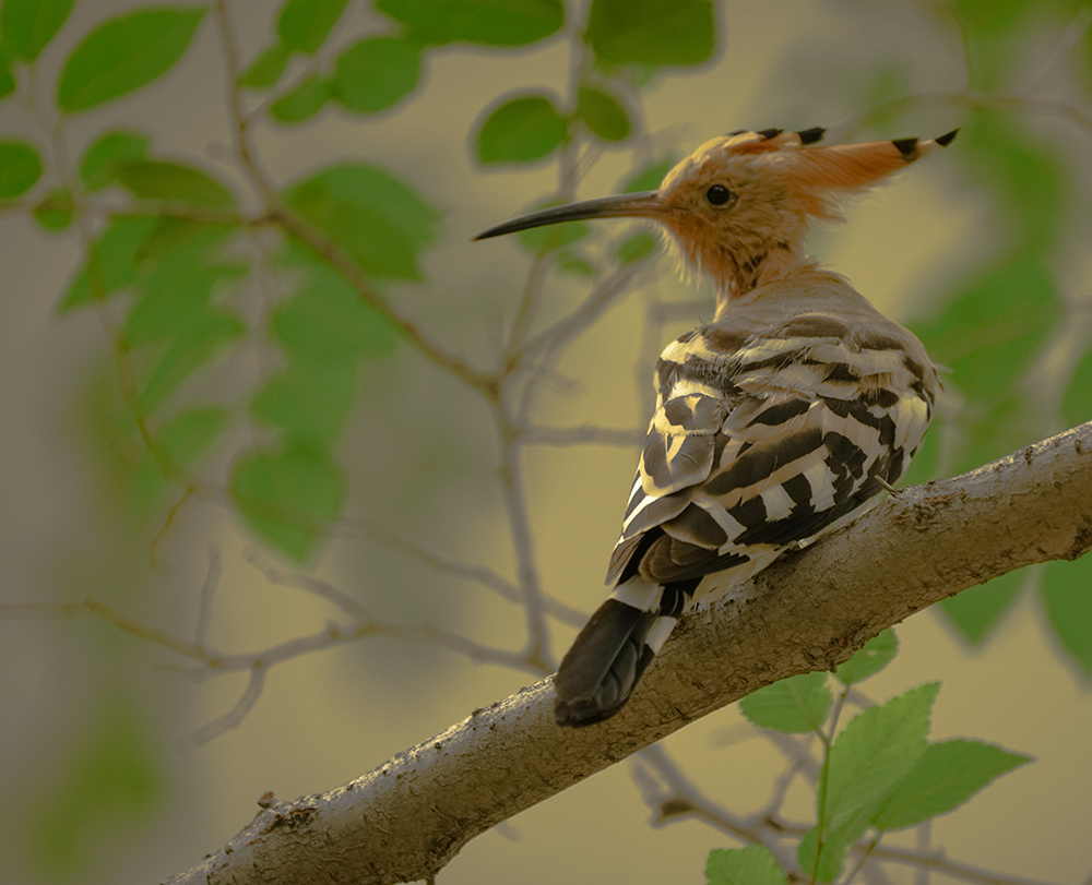 DSC09839  G����.jpg