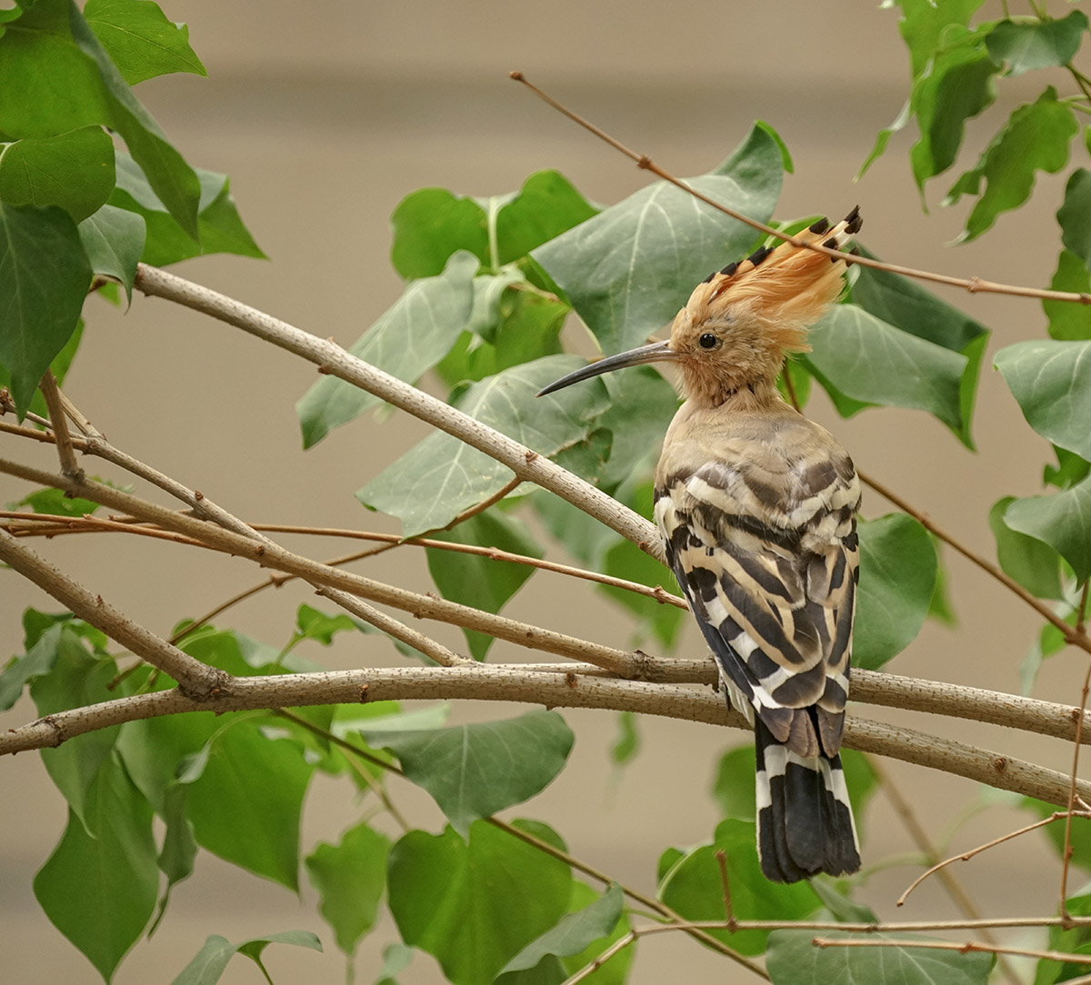 DSC09834  G����.jpg