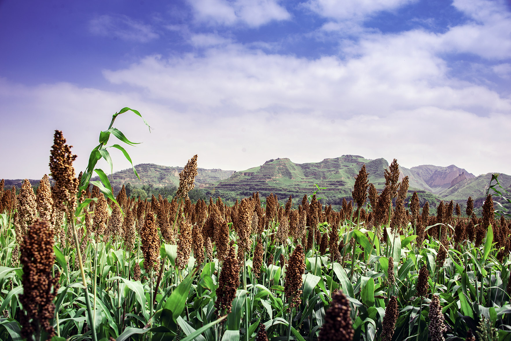 ��������......