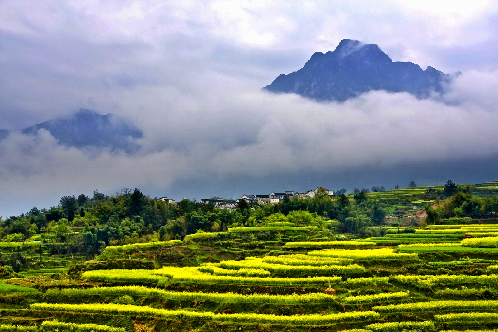 ������-����