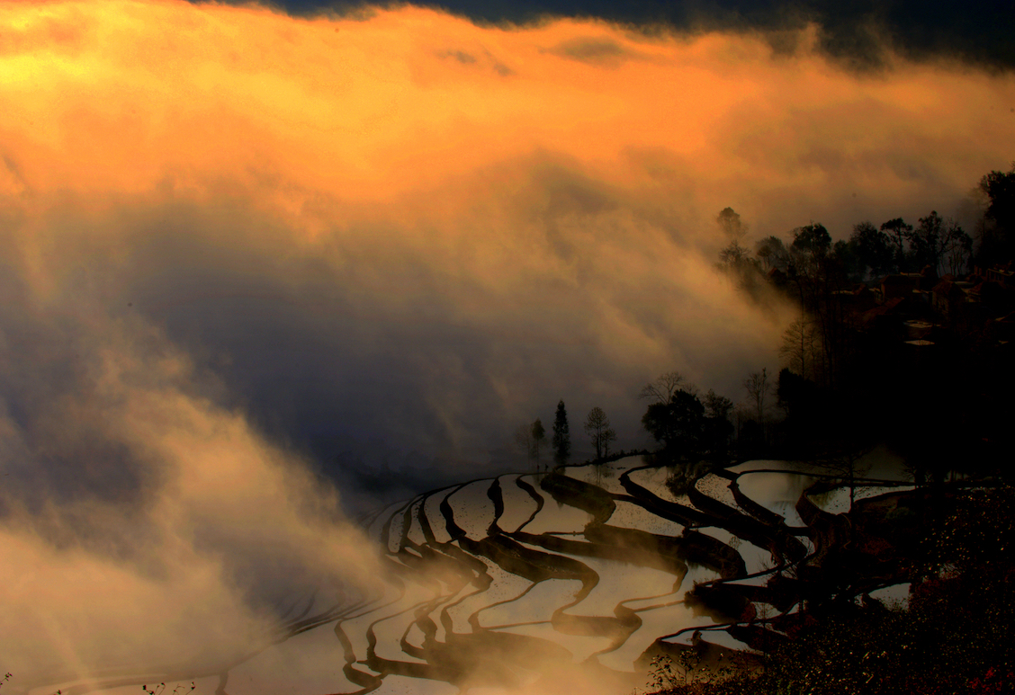 Ԫ������-����