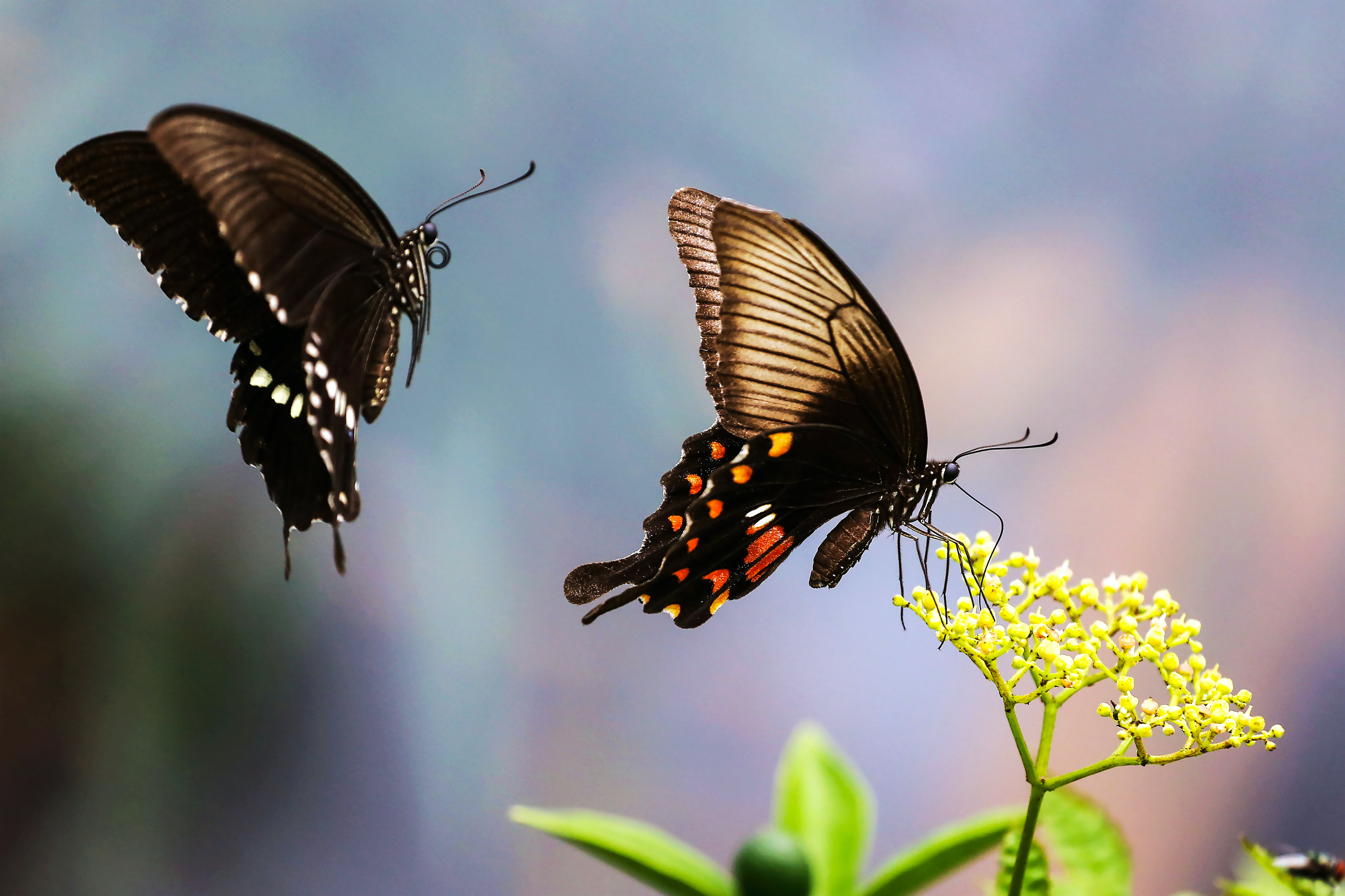 �����벻���� �κ��� 13601987218.�ĸ���.jpg