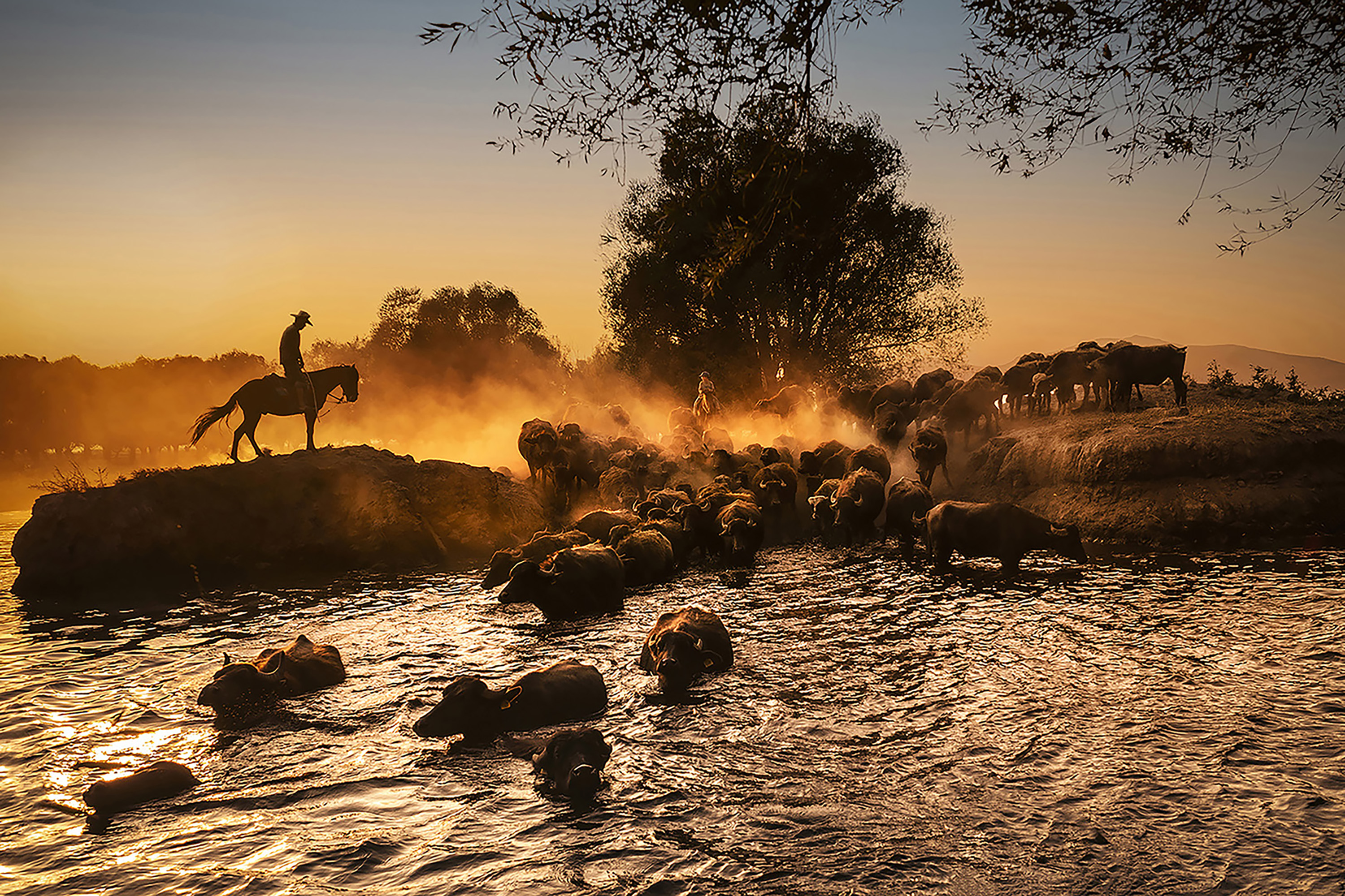 Ramazan nver Kaya.jpg