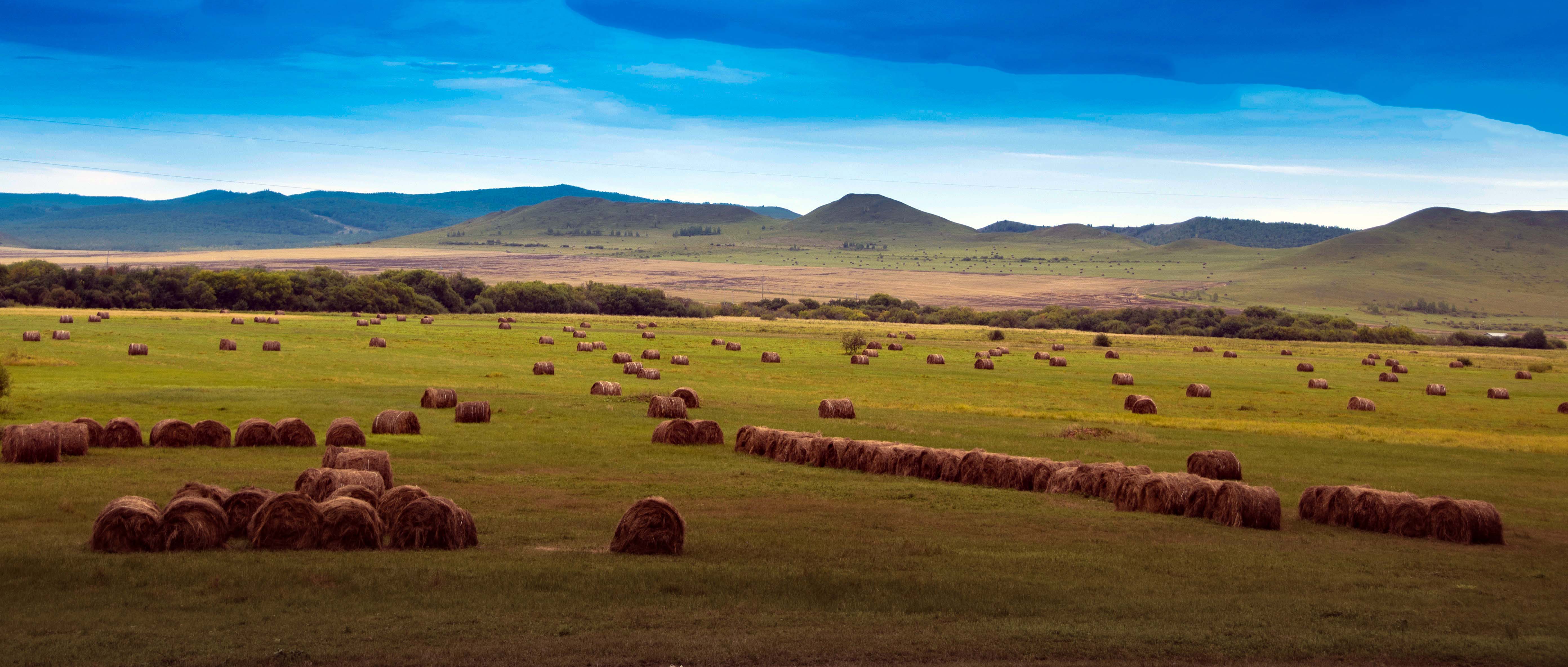 ���ױ���������