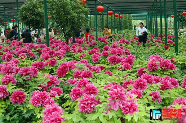 ���ͬ־��ĵ��ϵ��֮��