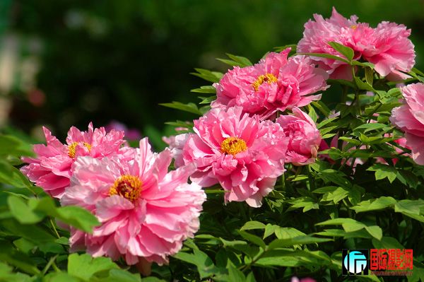 ���ͬ־��ĵ��ϵ��֮��