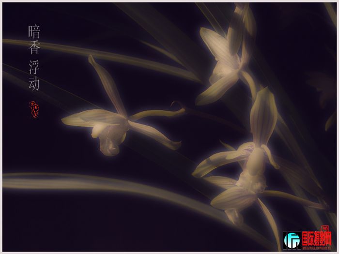 ���㸡�� ����2.jpg