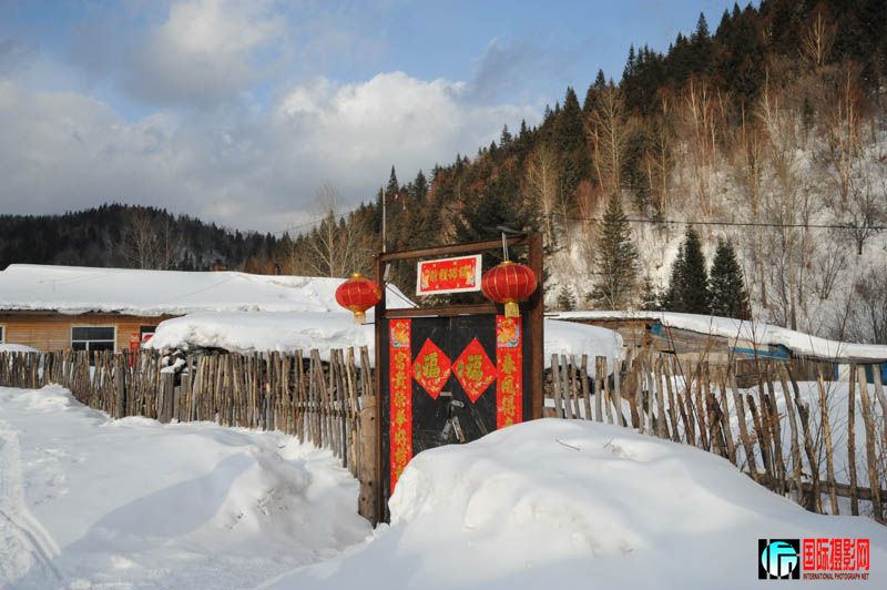 �й�ѩ��-����������