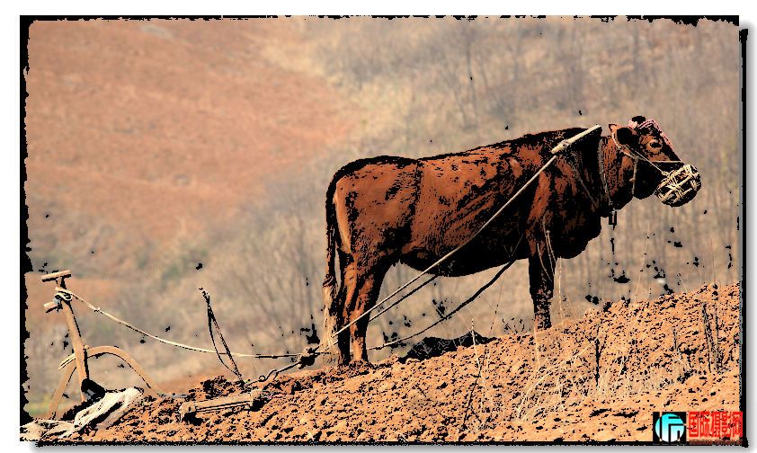 canon5D��09��3��26�ա�����ɽ;�� 015.jpg