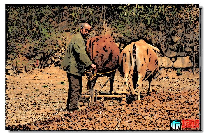 canon5D��09��3��26�ա�����ɽ;�� 005.jpg