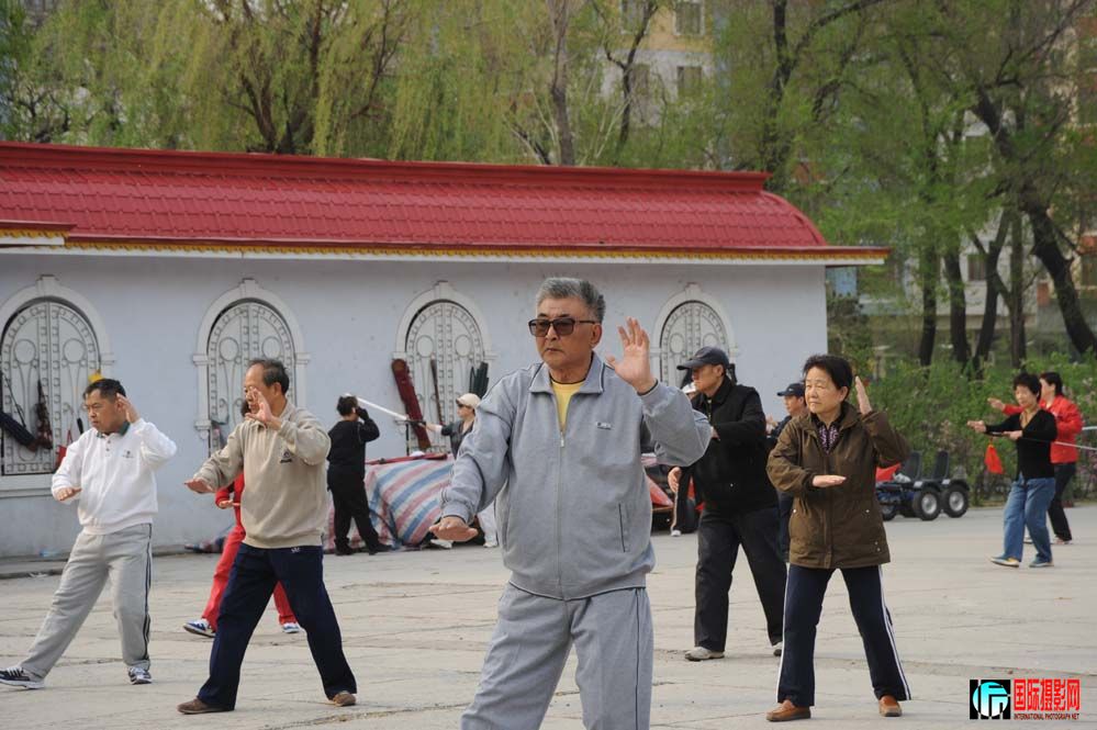 �����������ڹ�԰������Ӱ