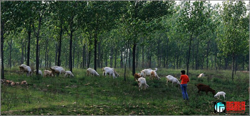 canon5DII��09��5��21�ա������� 040.jpg