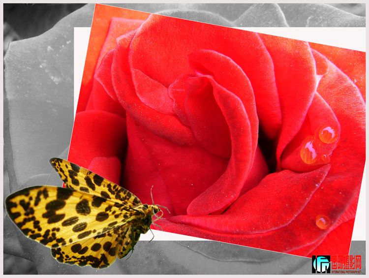 ����ͼƬ-51+z 022 ����2.jpg