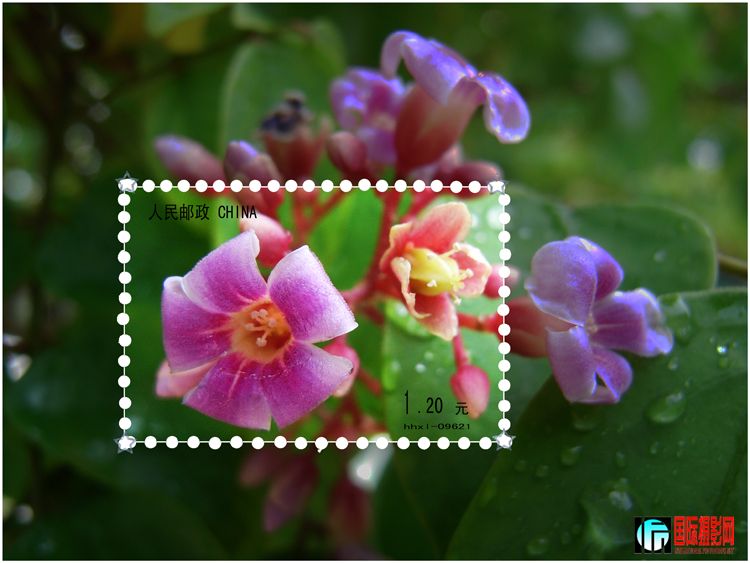 ����ͼƬ-53+h+ 011 ���� 2.jpg