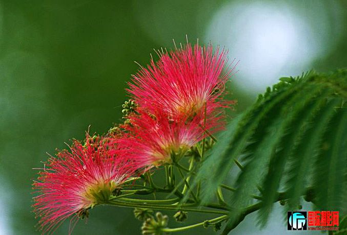 �ϻ�����  ����.jpg