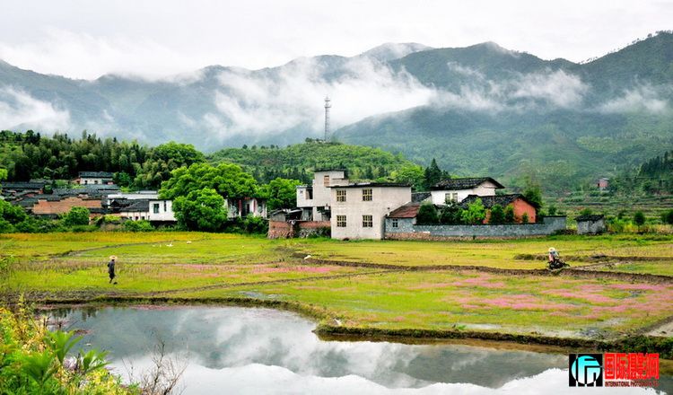 ��İϼӰ  ��ѩ���.jpg