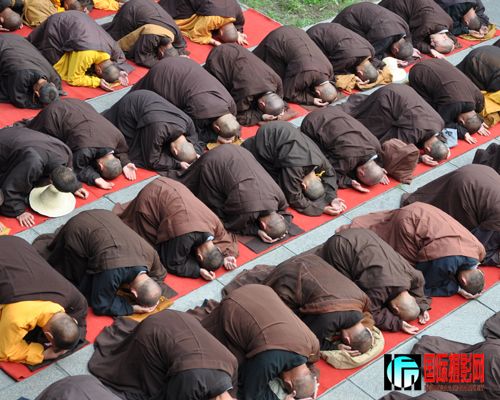 ����Ͷ��