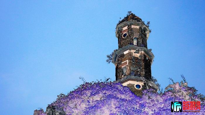 ������С P1190212.jpg