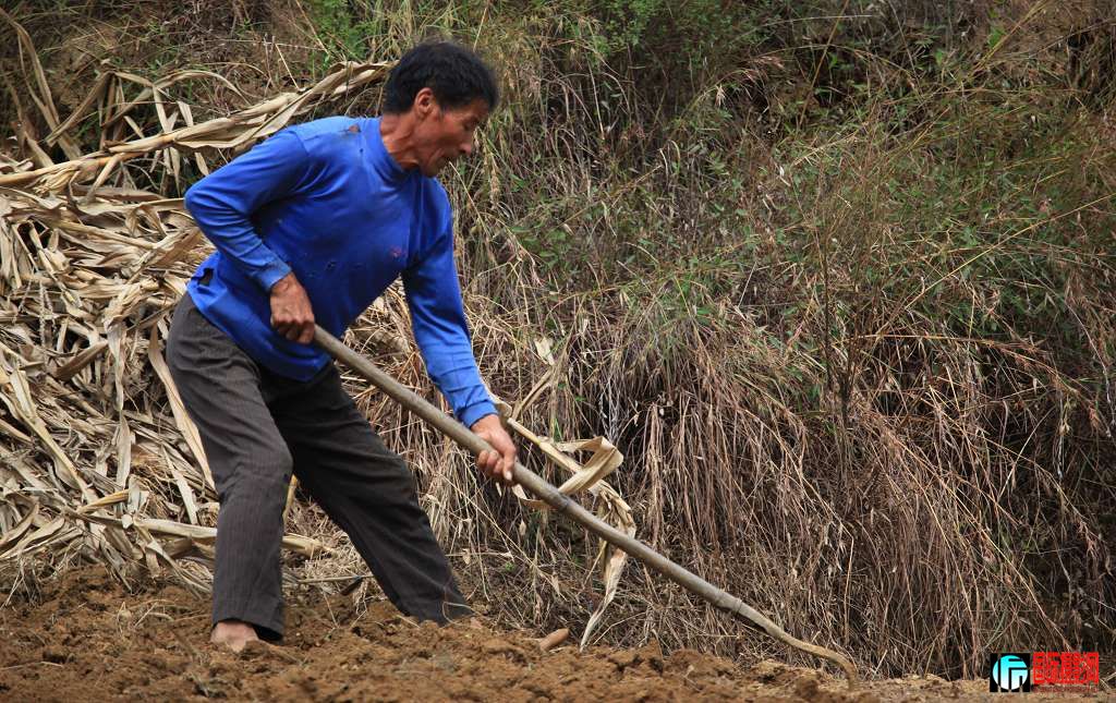 canon 5D II[2009��9��25�ա�����СƬ�� 383.jpg