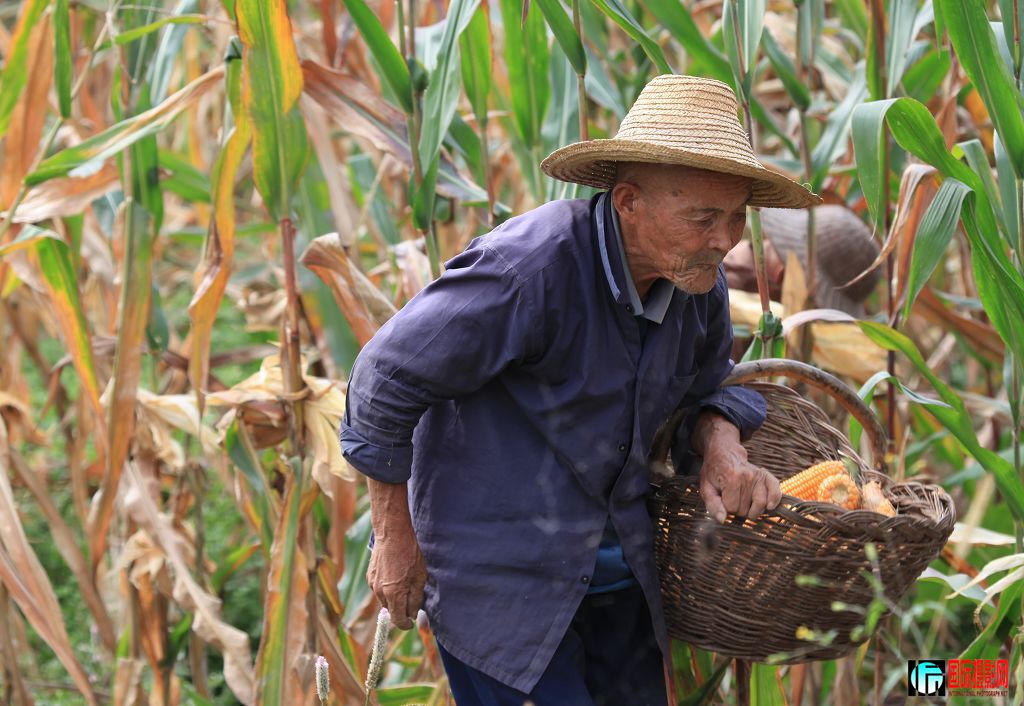 canon 5D II[2009��9��25�ա�����СƬ�� 418.jpg