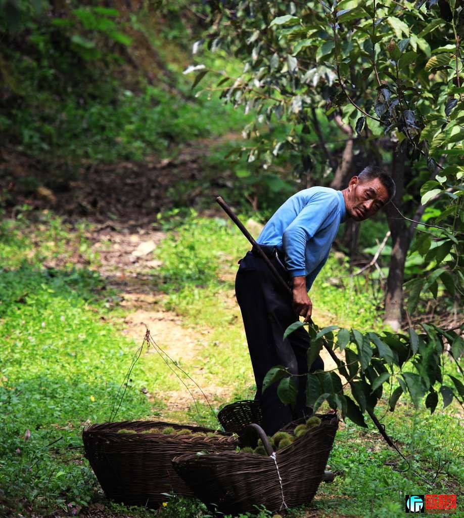 canon 5D II[2009��9��25�ա�����СƬ�� 162.jpg