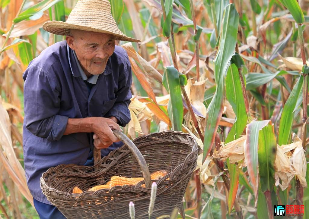 canon 5D II[2009��9��25�ա�����СƬ�� 415.jpg