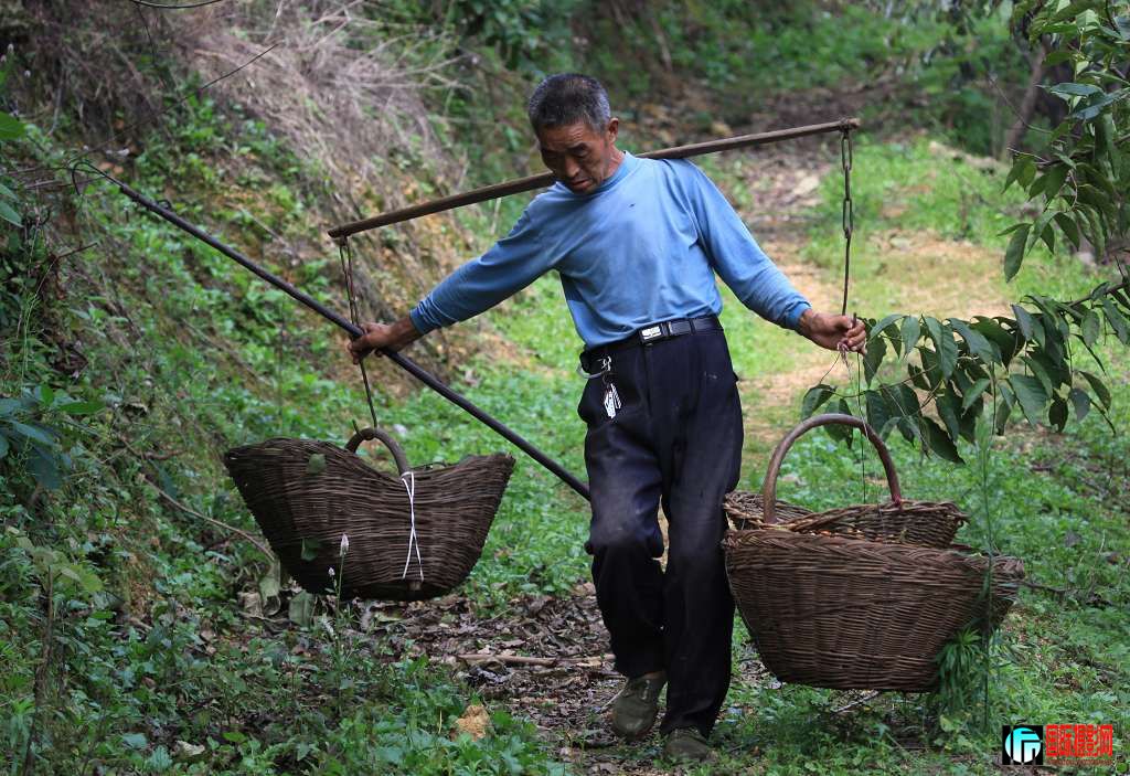 canon 5D II[2009��9��25�ա�����СƬ�� 164.jpg