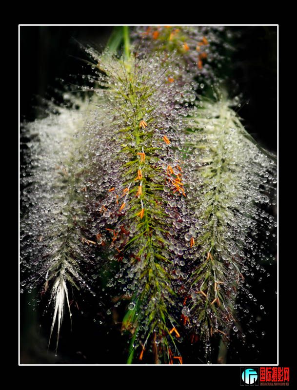 DSC05507 ����.jpg