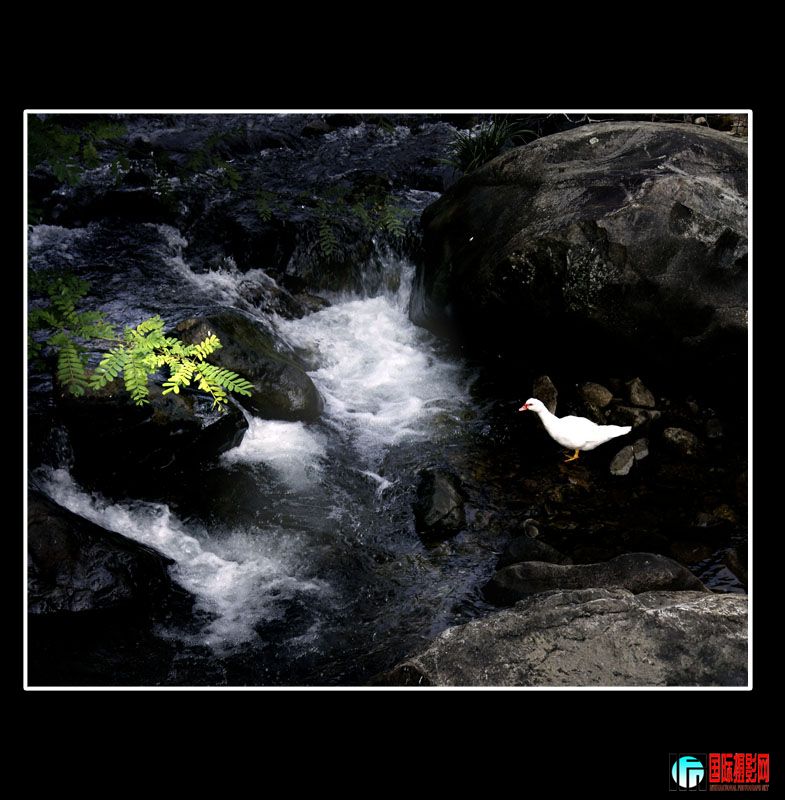 _DSC4892 ����.jpg