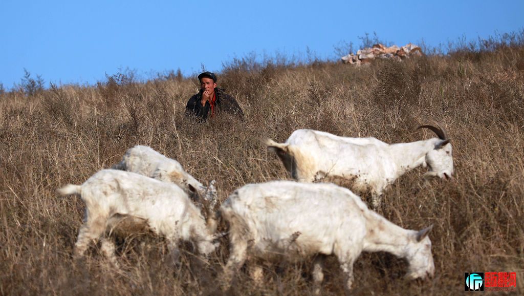 canon 5D II[2009��11��22�ա�¶������ 004.jpg