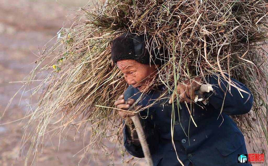 canon 5D II[2009��11��17�ա�ѩ����� 296.jpg