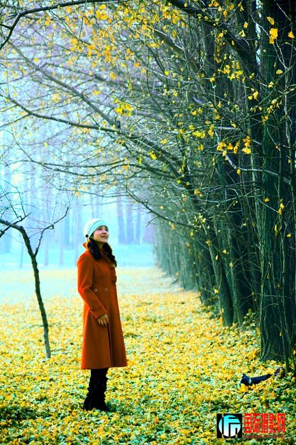 z���� (2).jpg