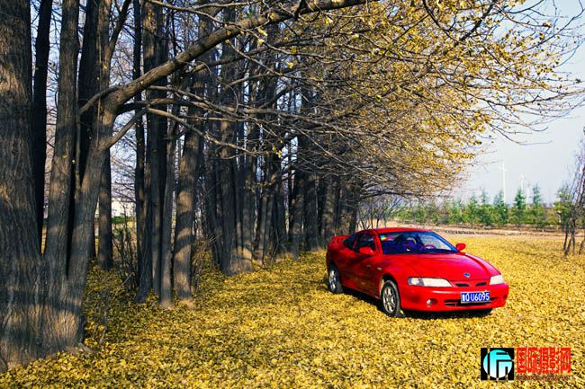 z���� (3).jpg