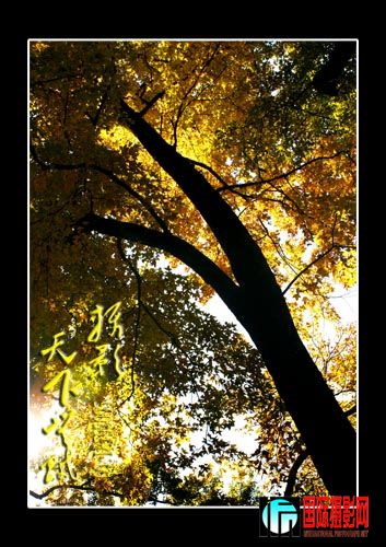 DSC06450 ����.JPG