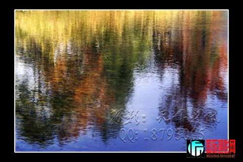 _DSC6405 ����.jpg