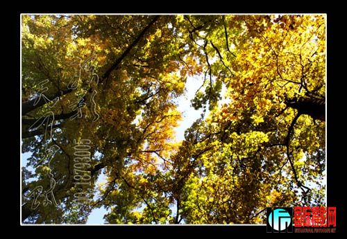 _DSC6438 ����.jpg